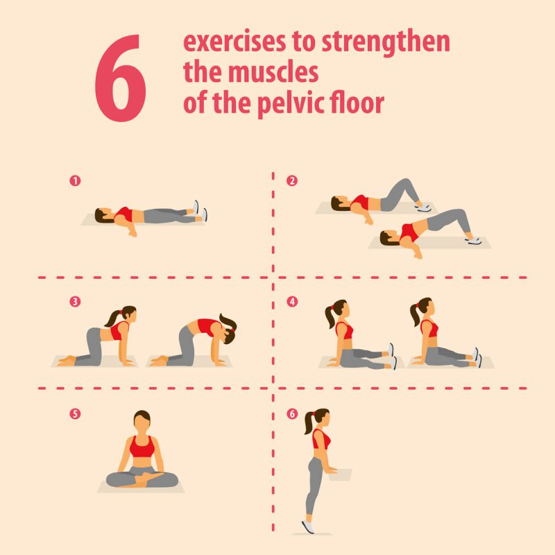 pelvic floor therapy excercises 1