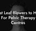 Best Leaf Blowers to Hire For Pelvic Therapy Centres