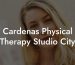 Cardenas Physical Therapy Studio City