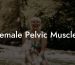 Female Pelvic Muscles