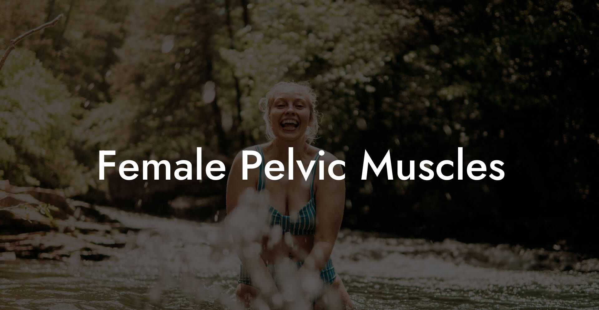 Female Pelvic Muscles