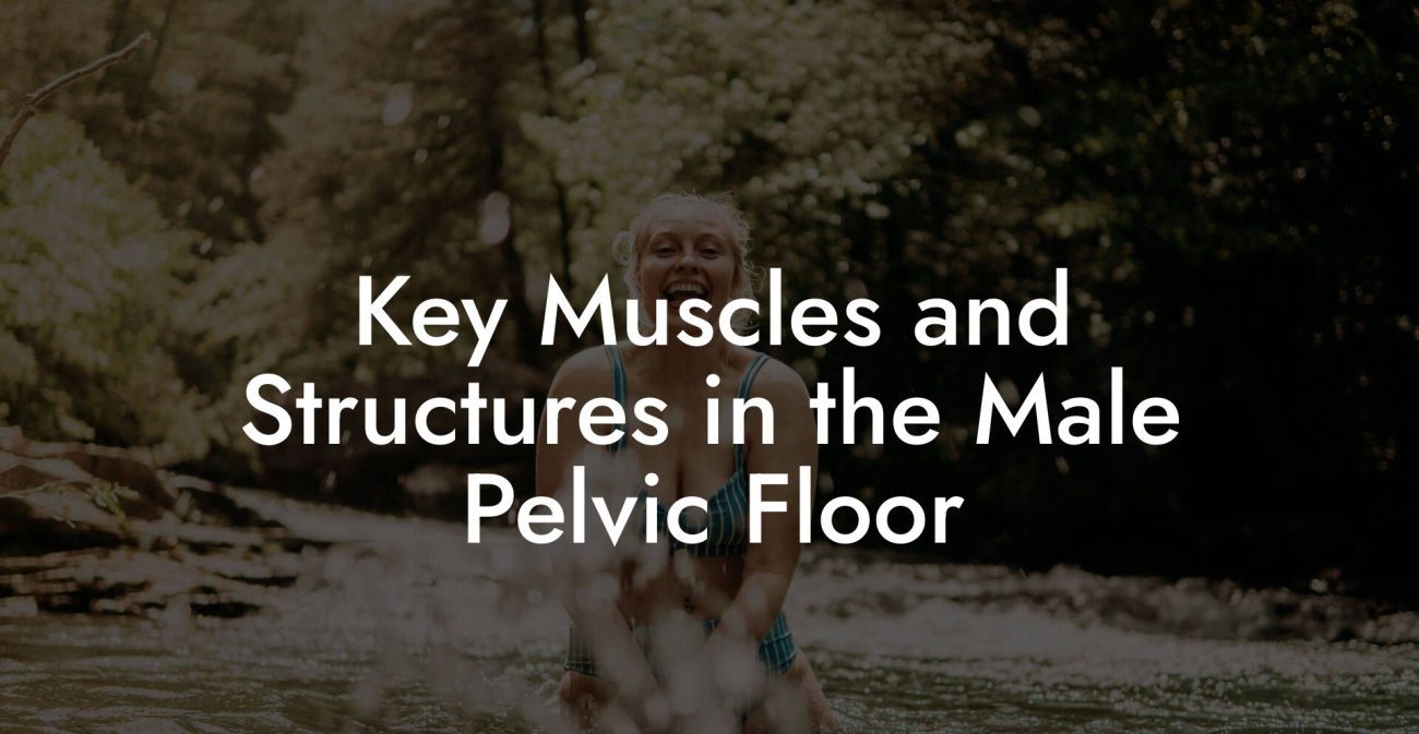 Key Muscles and Structures in the Male Pelvic Floor