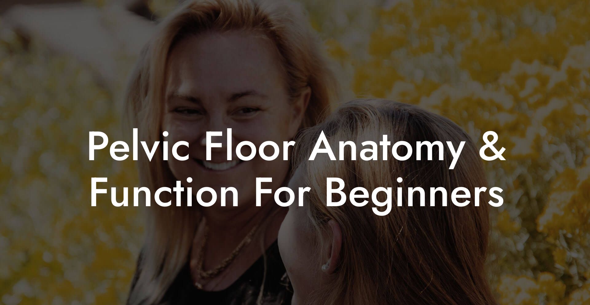 Pelvic Floor Anatomy & Function For Beginners