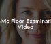 Pelvic Floor Examination Video