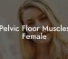 Pelvic Floor Muscles Female