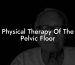 Physical Therapy Of The Pelvic Floor