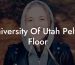University Of Utah Pelvic Floor