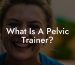 What Is A Pelvic Trainer?