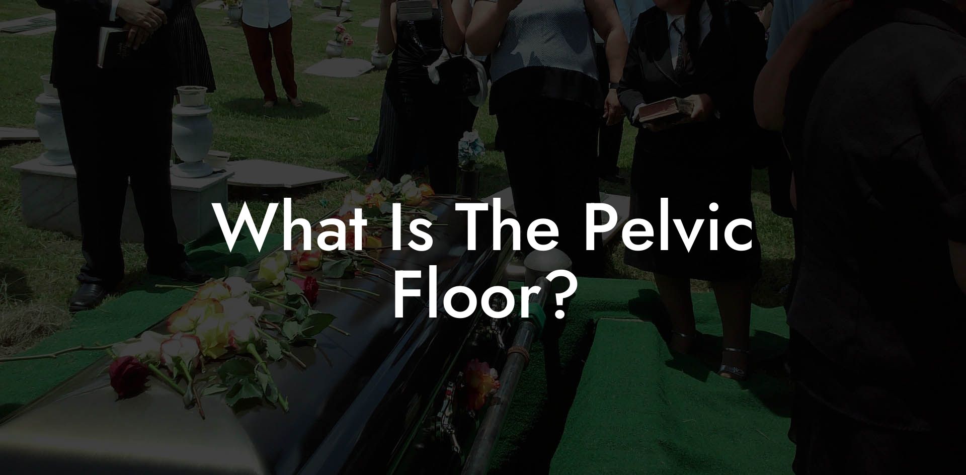 What Is The Pelvic Floor?
