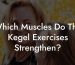Which Muscles Do The Kegel Exercises Strengthen?